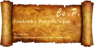Csetneki Patrícius névjegykártya